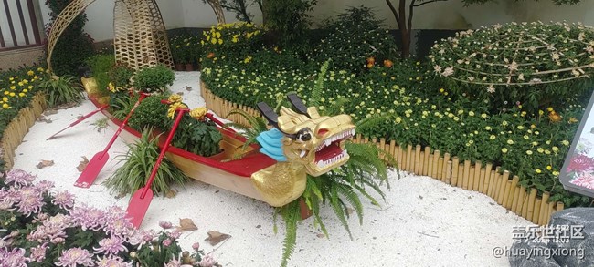 【汇龙潭菊花展线下摄影活动】+摄影回顾