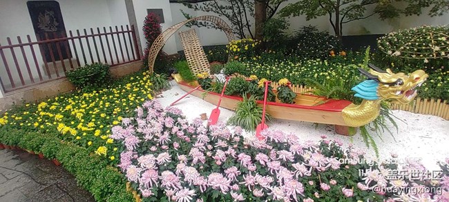 【汇龙潭菊花展线下摄影活动】+摄影回顾