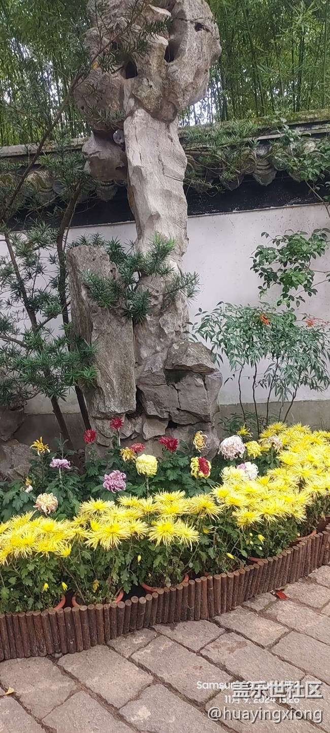 【汇龙潭菊花展线下摄影活动】+摄影回顾
