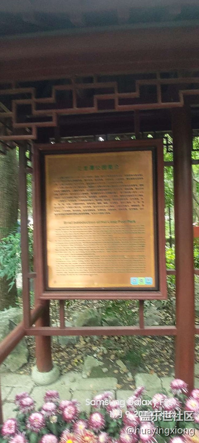 【汇龙潭菊花展线下摄影活动】+摄影回顾