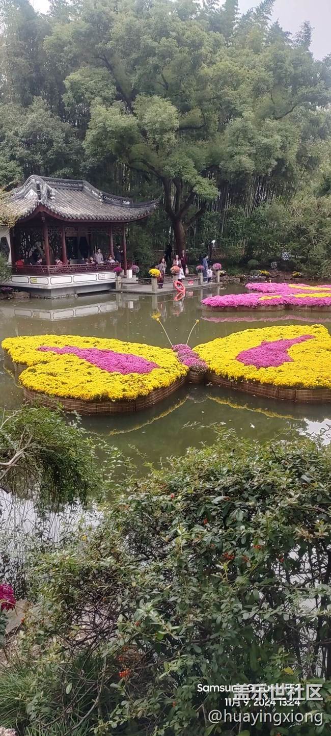 【汇龙潭菊花展线下摄影活动】+摄影回顾
