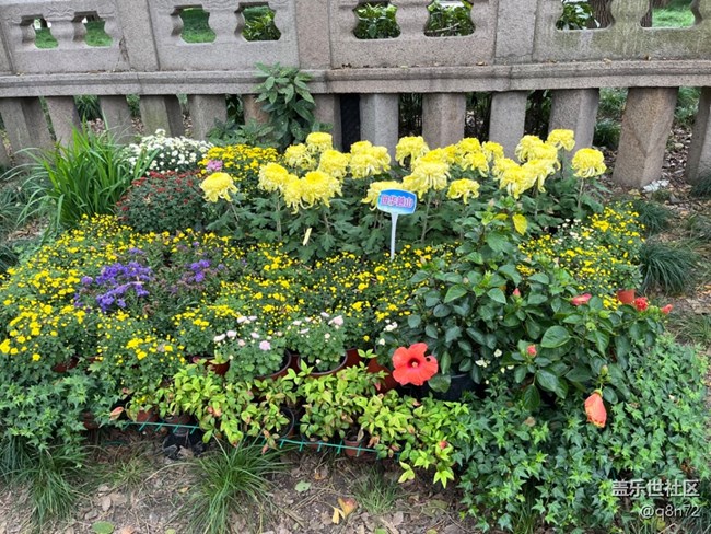 【汇龙潭菊花展线下摄影活动】+活动回顾 【汇龙潭菊花展线下摄影活动】+活动回顾