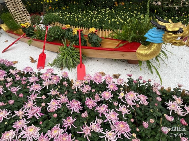 【汇龙潭菊花展线下摄影活动】+活动回顾 【汇龙潭菊花展线下摄影活动】+活动回顾