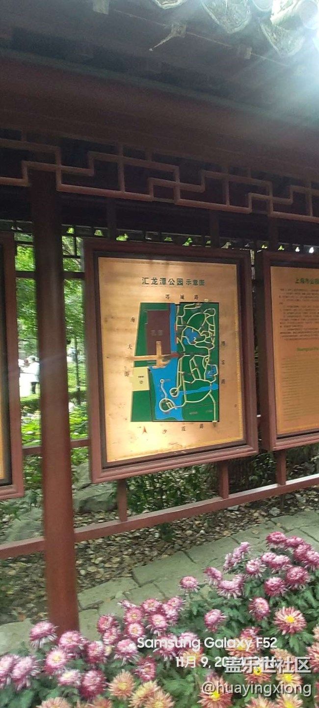 【汇龙潭菊花展线下摄影活动】+摄影回顾