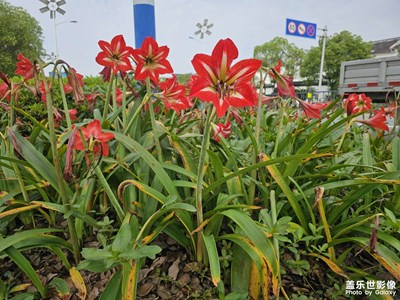 随手拍