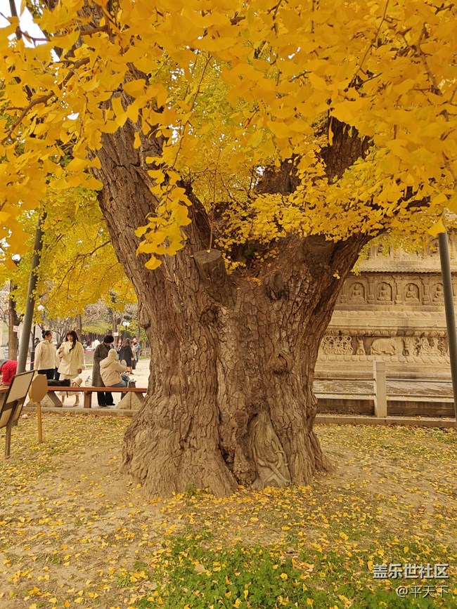 【五塔寺】