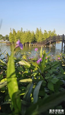 【秋冬时光】+ 花花草草