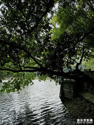 碧津公园