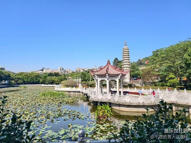 【秋意浓】秋游南普陀