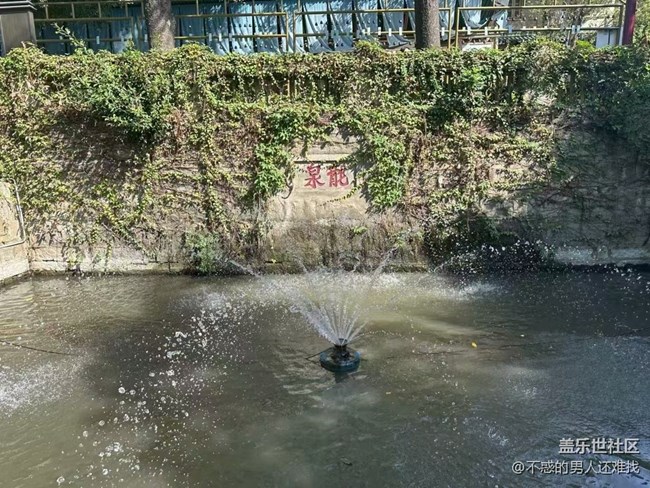 【秋意浓】秋游南普陀