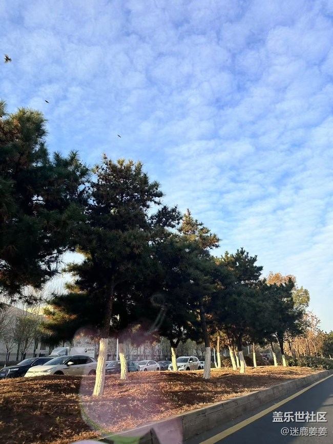 【初冬来】上班路上，路人行色匆匆