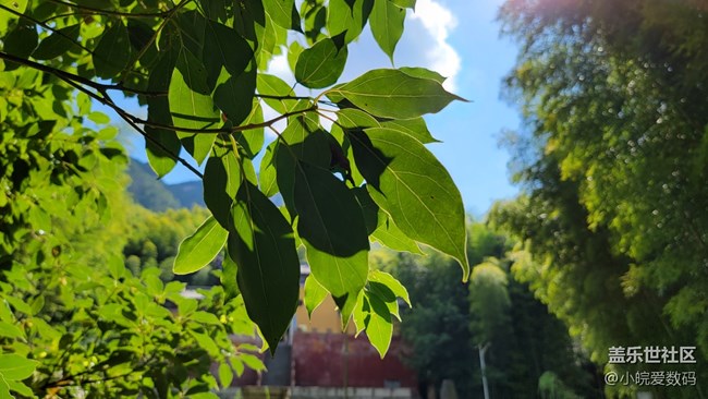 如果治愈有景色，那一定是天空