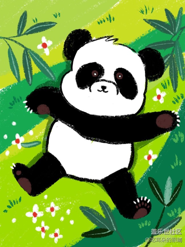 Spen初体验|惬意的小熊猫