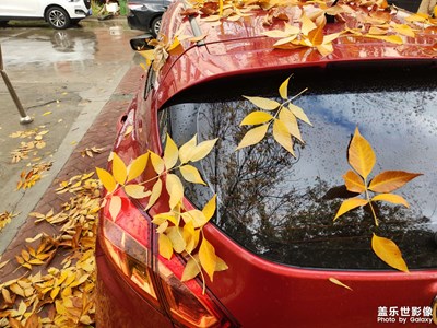 秋天来临的时候