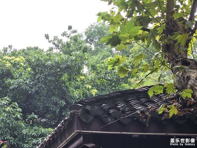 【秋冬时光】+灿烂阳光