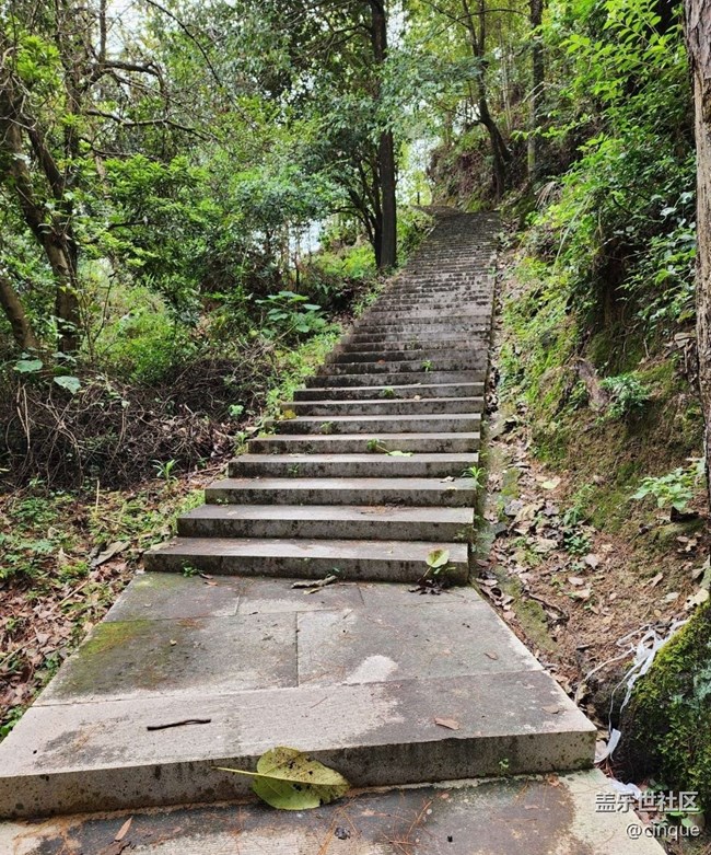 【秋意浓】登高赏秋