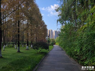 【身边的风景】+ 深秋已至