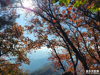 【身边的风景】+ 初冬的秦岭山