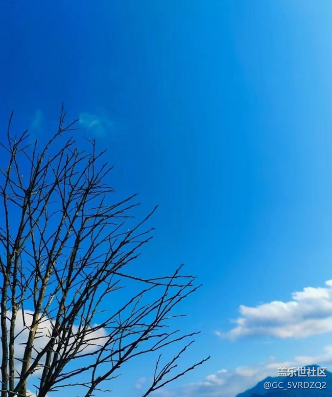 【秋暮冬初】采挖