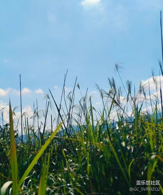 【秋暮冬初】采挖