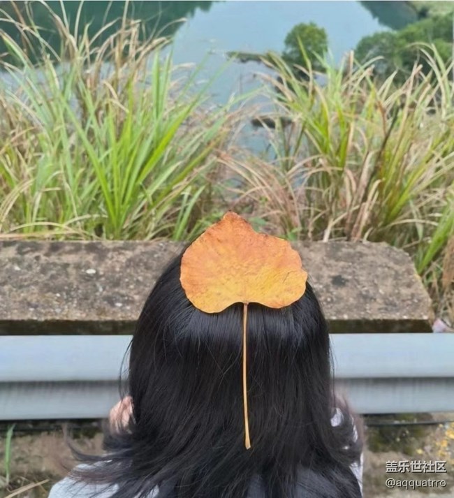 【秋意浓】深秋景色