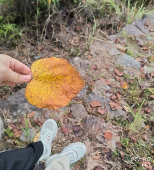 【秋意浓】深秋景色