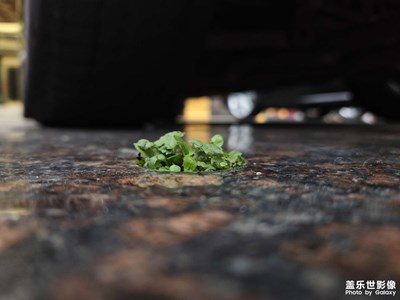 【见微知著】生命就是奇迹