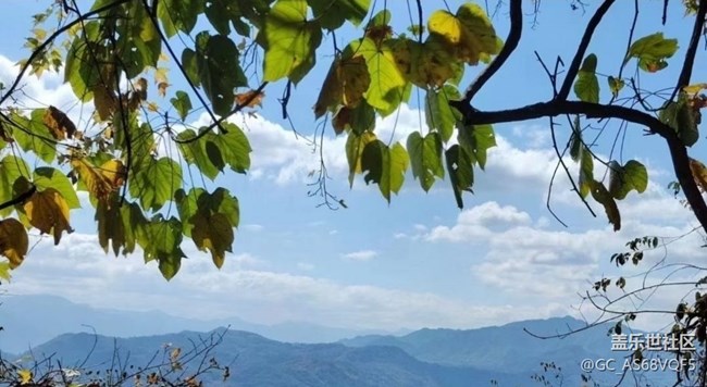 【秋暮冬初】落叶