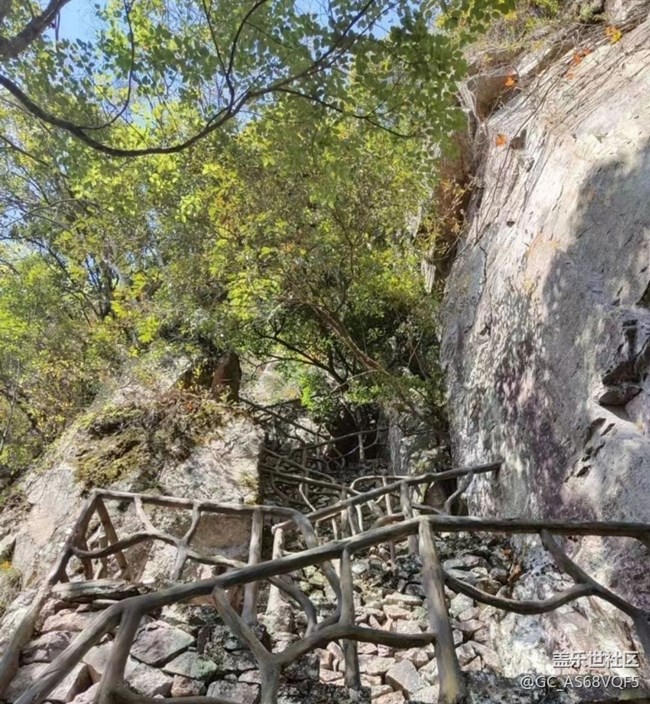 【秋暮冬初】落叶