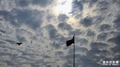 11月的馈赠是温柔的好天气和慢慢变好的自己