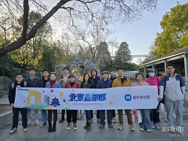 【紫竹院】落叶与风的绘画