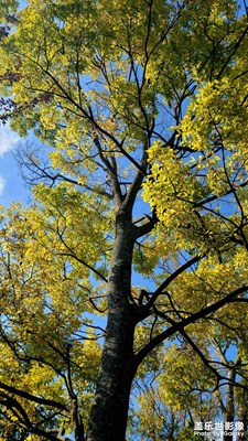 【身边的风景】+美就在身边