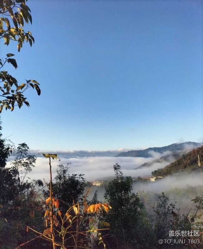 【秋意浓】清晨