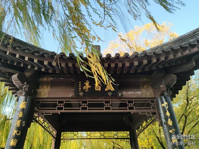 【紫竹院】+用三星手机抓住北京的秋