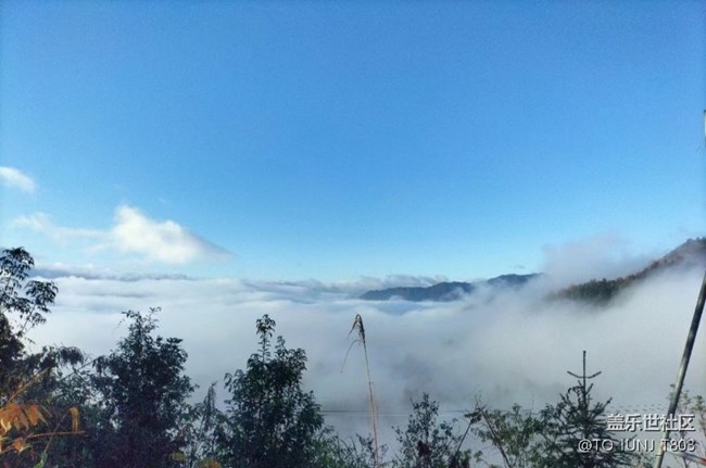 【秋意浓】清晨