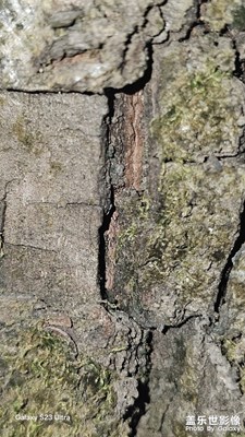 【见微知著】细微处