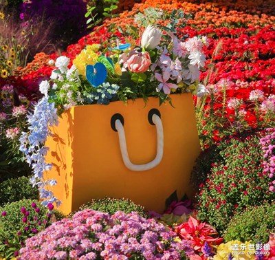 鲜花