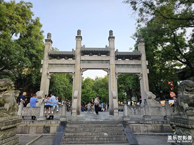 随手拍