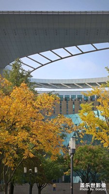 秋天×nanjing