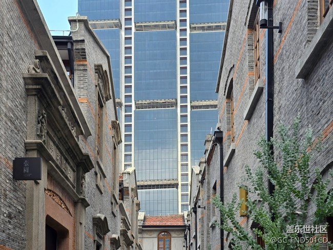 #秋天的道路——好冷