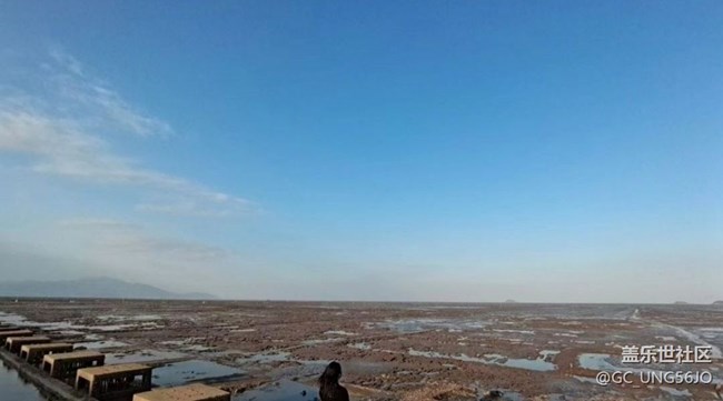 【秋意浓】深秋滩涂