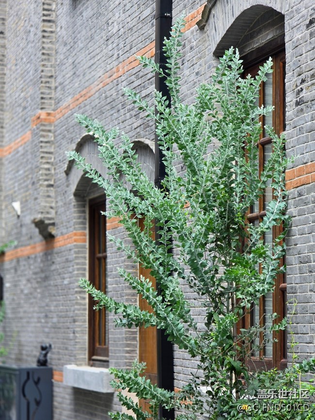 #秋天的道路——好冷