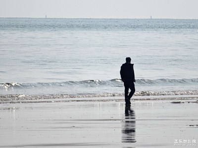 赶海