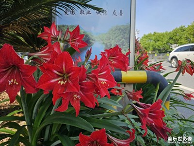 随手拍