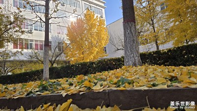 【见微知著】 校园一角