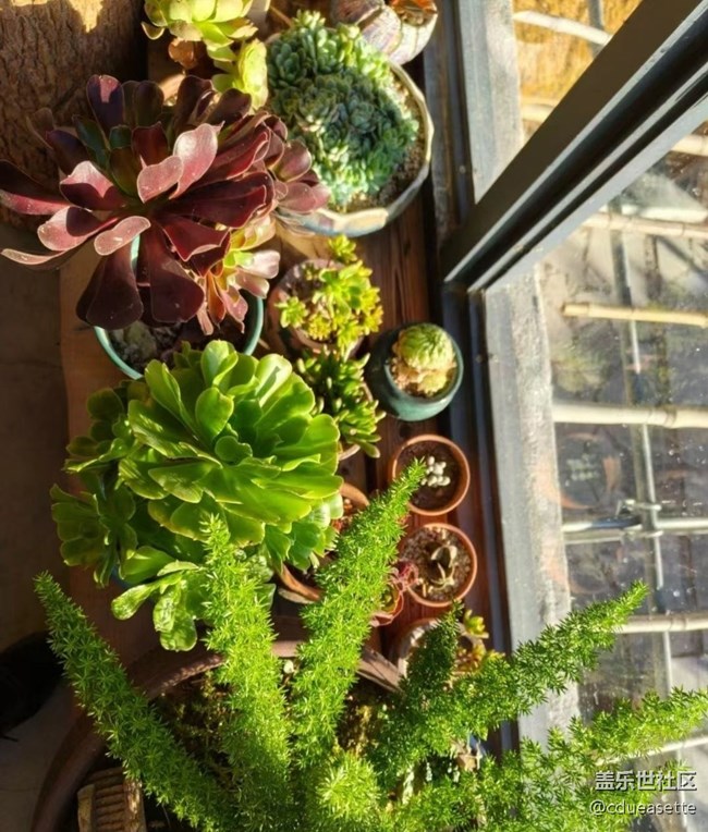 【秋意浓】入冬