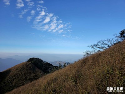【斑澜萧瑟】越过山秋