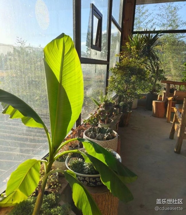 【秋意浓】入冬