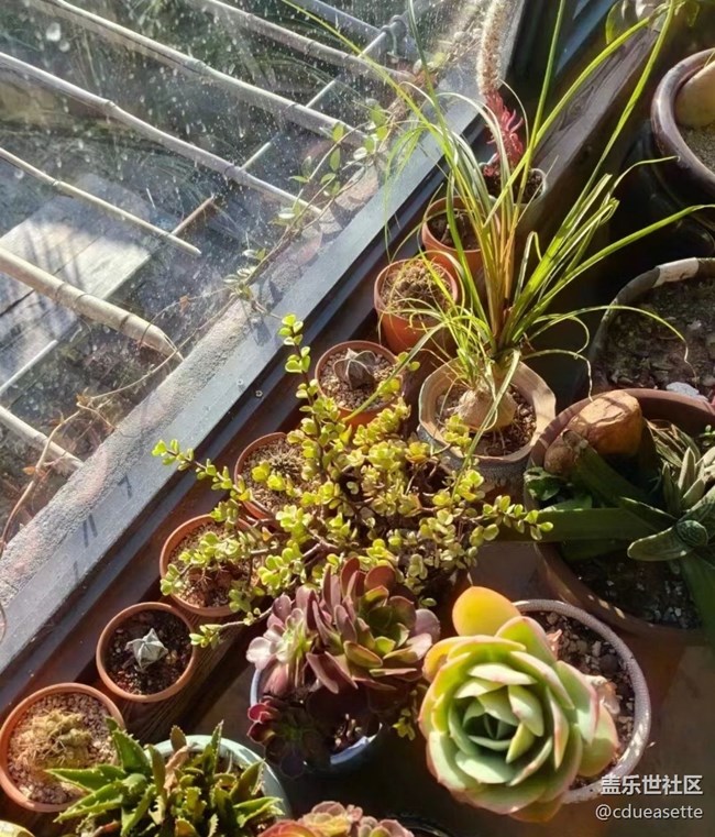 【秋意浓】入冬