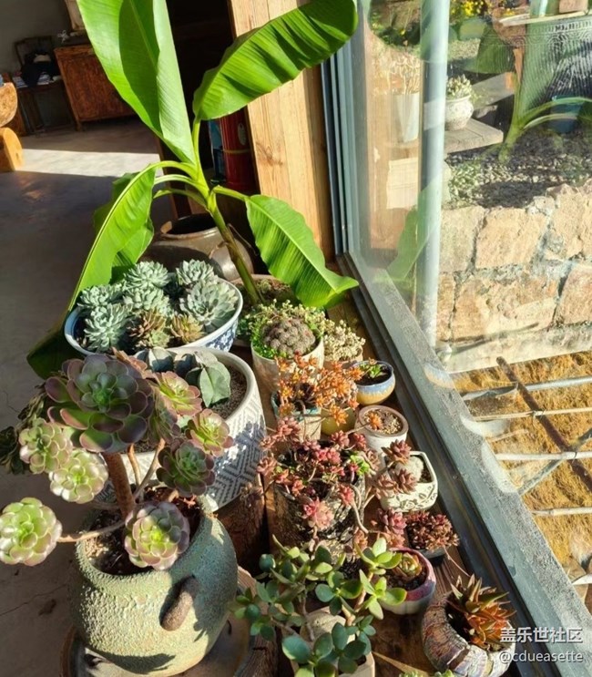 【秋意浓】入冬